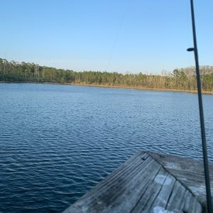 Meet your Posher, Michaela